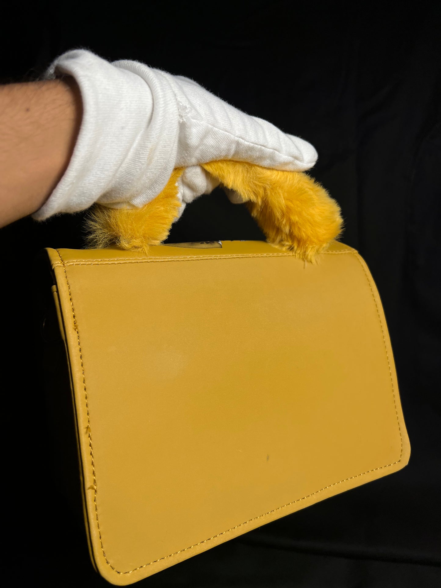Aesthetic Bag