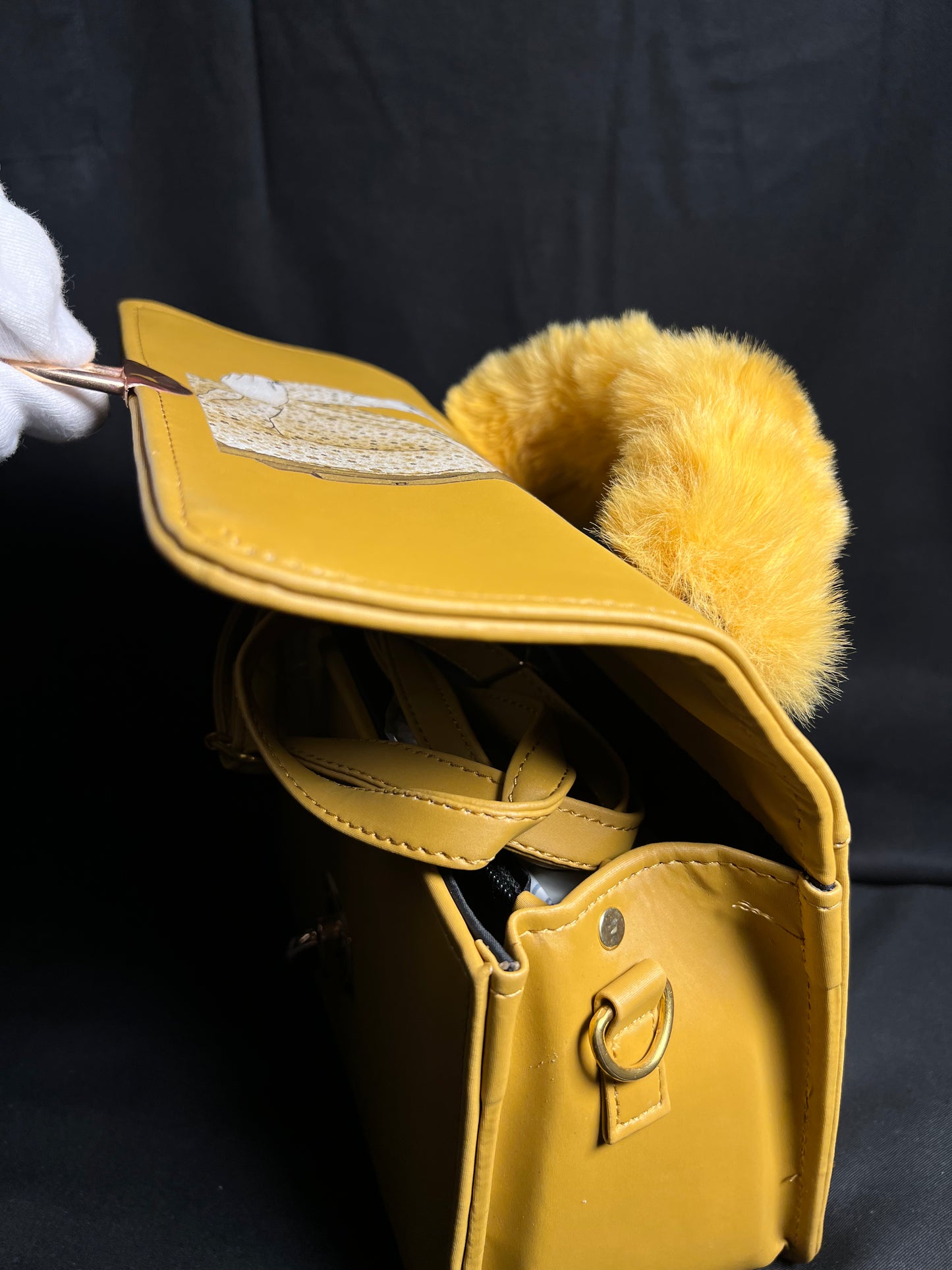 Aesthetic Bag